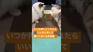 お金を貯めるにゃん！押すと猫が出てくる貯金箱に挑戦！　Taking on the Challenge of the Cat-Powered Savings Box!　#Shorts