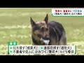 事件捜査や行方不明者捜索に活躍　警察犬の審査会　宮城・川崎町