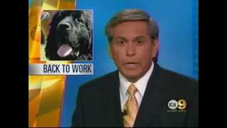 KCAL News Channel 9 - Archie's Surgery