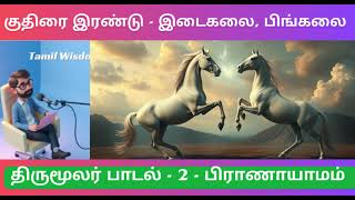 திருமூலர் பிராணாயாம இரண்டாவது பாடலில் இடகலை, பிங்கலை | Pranayama | Tirumular | Tamil Wisdom