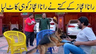 Standup Comedy By Rana Ijaz | Rana Ijaz New Video | New Dog Video Part 02 | #ranaijaz #comedy #funny