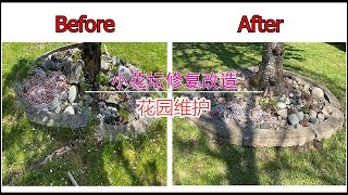 DIY Garden Edge Boarder 花园维护，维修被树根顶起来的小花坛，这个小工程能省多少钱