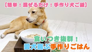 【簡単手作り犬ご飯】食いつき抜群！愛犬喜ぶ手作りごはん【帝塚山ハウンドカム】