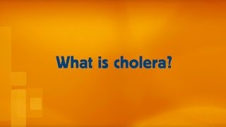 WHO: Cholera - Questions and answers (Q\u0026A)