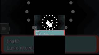 Finally Evolved Into Luxray Pokemon Trending Viral