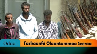 Tarkaanfii Olaantummaa Seeraa