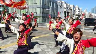 音ら韻★東京よさこい2018 目白駅前会場