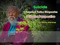 suicide and karma by chagdud tulku rinpoche tibetan buddhism