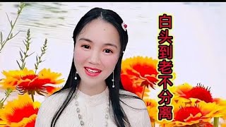 一曲最美情歌《白头到老不分离》情意绵绵，相伴一生，暖人心扉