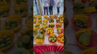 500 Mango Varieties under one Roof | The Great Indian Mango Festival 🥭