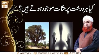 Kya Har Darakht Par Jinnat Hote Hain ? | Islamic information | Mufti Muhammad Akmal | ARY Qtv
