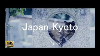 金戒光明寺 Find Kyoto | Konkai Komyo-ji Temple| 4K MOVIE | IN JAPAN