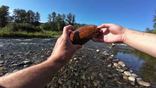 My First-Time Rockhounding on the Cedar River (2024)