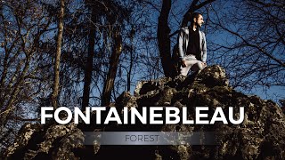 FONTAINEBLEAU FOREST | Day trip from Paris to the ancient Royal forest!