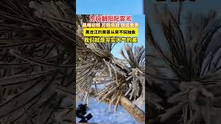 晨曦初照、万籁俱寂、银装素裹！黑龙江的美景从来不玩抽象，我们就是写实大气的美！#喜迎亚冬会歌声里的黑龙江