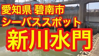 愛知県碧南市 シーバススポット 新川水門