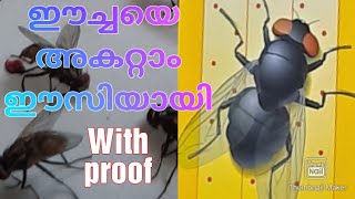 ഈച്ചയെ അകറ്റാം ഈസിയായി/how to get rid of house flies/eecha