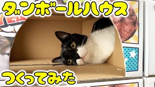 ダンボールで猫ハウスをつくってみた！【3階建】