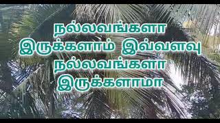 அவ்வளவு நல்லவளா நீ