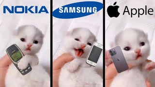 Cute Cat Meowing but popular phone ringtones