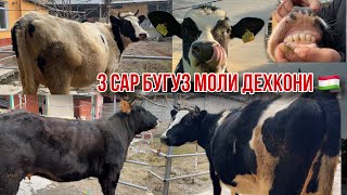 Молхои зоти дехкониш 20 января 2025 г.