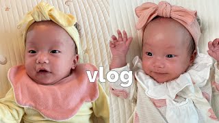 육아VLOG/28주 2일생 이른둥이 VLOG(교정 37일~39일)/흑호띠친구만나기/신생아랑마트/육전레시피