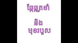 ឆ្កែឆ្កួតខាំ+មុខរបួស+វ៉ាក់សាំង