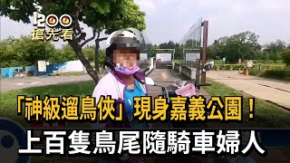 神級遛鳥俠！ 婦人騎車上百隻鳥尾隨飛翔－民視新聞