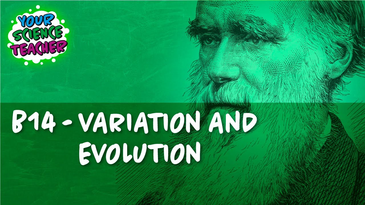 AQA GCSE 9-1 - B14 VARIATION AND EVOLUTION - YouTube