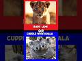 would you rather animals edition #wouldyourather #red #blue #shorts #quiz#pets