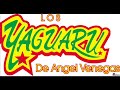 LOS YAGUARU MIX