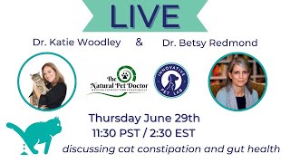 Cat Constipation & Gut Health with Holistic Vet - Dr. Katie Woodley & Innovative Pet Lab
