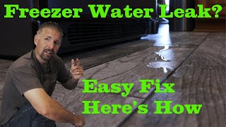 💦  Freezer Water Leak Guide (Complete Solution)