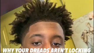 WHY YOUR FREEFORM DREADS AREN’T LOCKING/FORMING