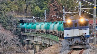 JR貨物EF64 1013号機1015号機(大宮更新色)重連 中央西線 石油貨物列車8084ﾚ 2019.2.15 撮影