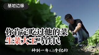 高端蔬菜，现代化农业之路，汉堡背后的生菜大王马铁民,年入4.8亿,生菜出口20多个国家