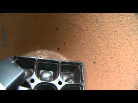 Handyman We Tried It!: Large Potted Plants Handyman We Tried It!: Large Potted Plants