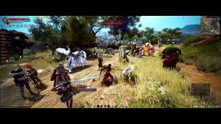 Black Desert Succession Sorceress T1 Node war