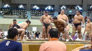 未来の関取たち、幕下力士の申し合い（平成26年札幌巡業）（Grand Sumo Tour in Sapporo 2014 Summer)