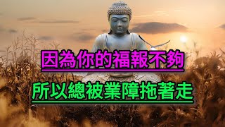 因為你的福報不夠，所以總被業障拖著走！【佛教因果】