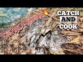 Teknik Mancing Tilapia / Nila Tasik. Catch And Cook.