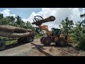 heavy equipment lifts logs to large tronton truck