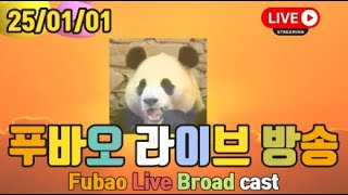 25년 01월 01일 푸바오 영상 라이브 방송(25.01.01 Fubao Live Broad Cast) : 푸바오는 비공개 구역으로 가서 휴식중...