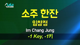 임창정(Im Chang Jung) - 소주 한잔 (-1키) 노래방 Karaoke LaLa Kpop