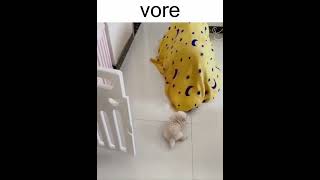 dog vore