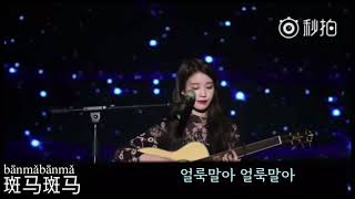 IU 아이유 [중국어노래]커버/[斑马斑马]얼룩말아/(가사/병음/한글발음/가사해석)