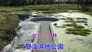 2023 -1 台北 士林 雙溪濕地公園