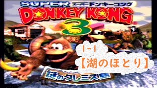 【 スーパードンキーコング3 】「 1-1 湖のほとり 」 ( Lakeside Limbo ) Donkey Kong Country 3 SFC スーパーファミコン