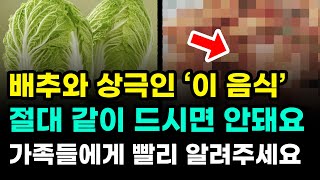 🔰 배추와 상극인 ‘이 음식’ 절대 같이 드시면 안됩니다. 어서 빨리 가족들에게 알려주세요!