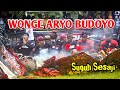 Suguh Sesaji Jaranan Wonge Aryo Budoyo Live Lap. Klampok Jiwut Blitar